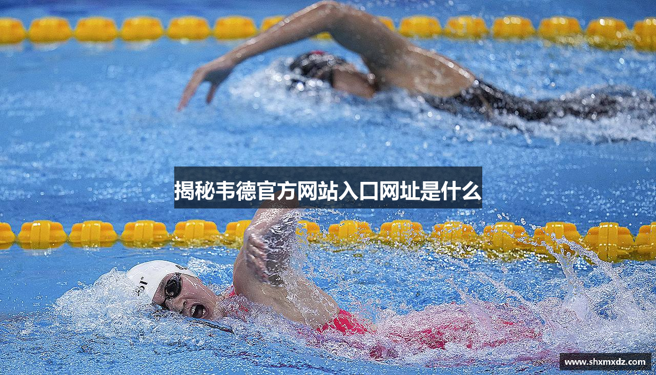 揭秘韦德官方网站入口网址是什么